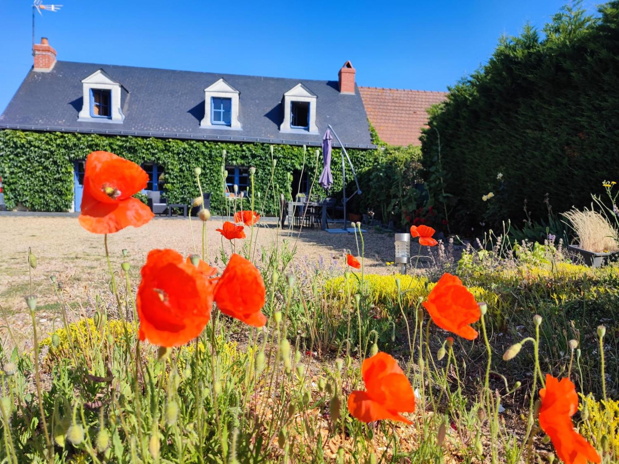 Le Clos Champetre Longue Exterior photo